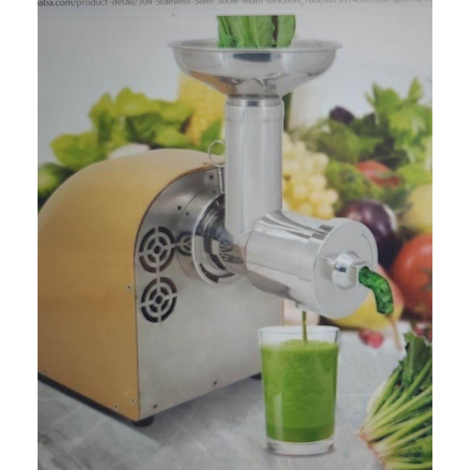 Шнекова соковижималка для твердих продуктів Vector TB - 2
