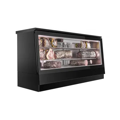 Холодильная витрина GGM-Gastro FRVI20B