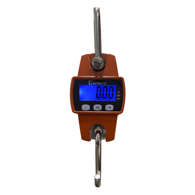 Крановые весы Днепровес OCS-0,3t-L до 300 кг