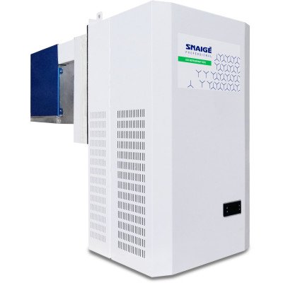 Моноблок Snaige SGL011P
