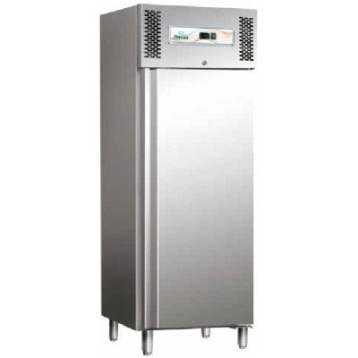 Шкаф морозильный Forcar G-GN600BT