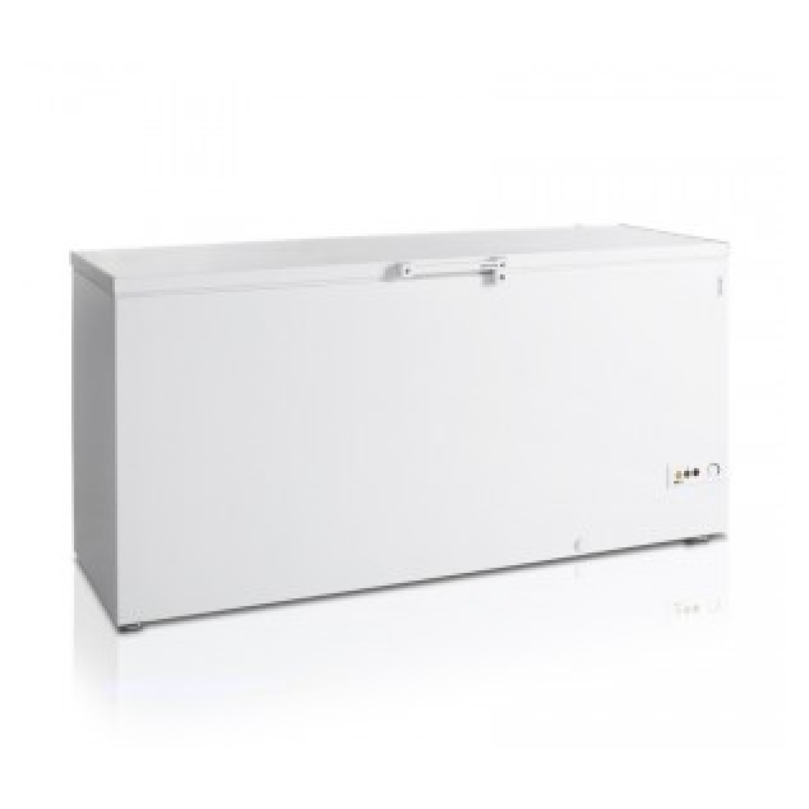 Ларь морозильный с глухой крышкой TEFCOLD FR605 SL