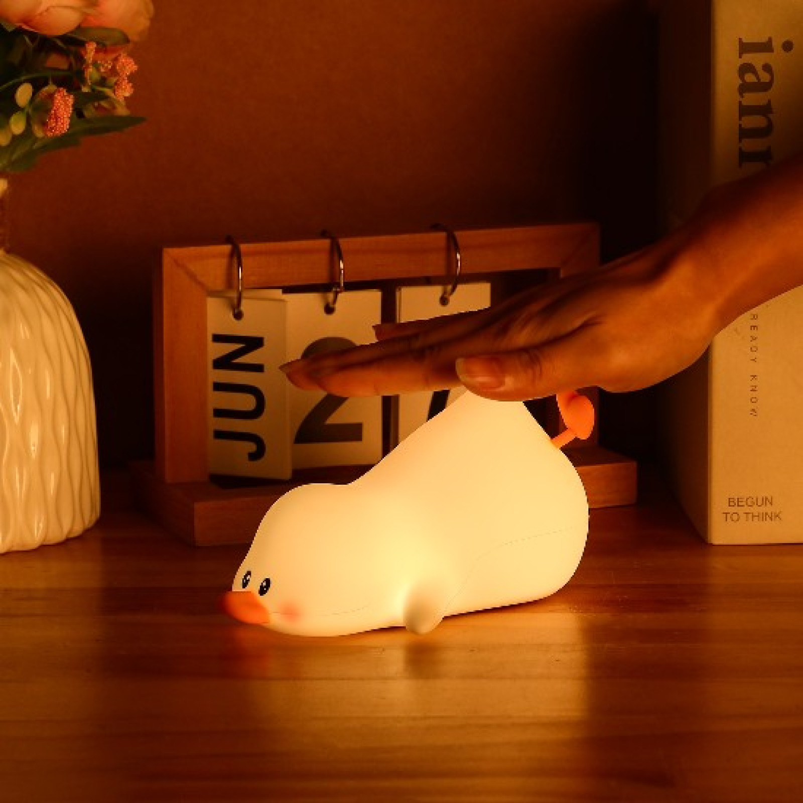 Светильник ZUVER Lamp Duck
